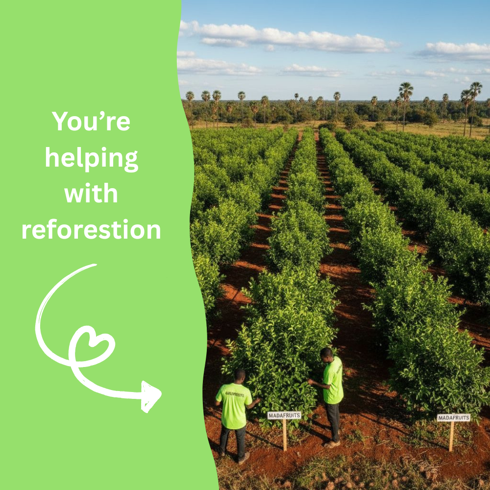 ❤️ Pomegranate Tree