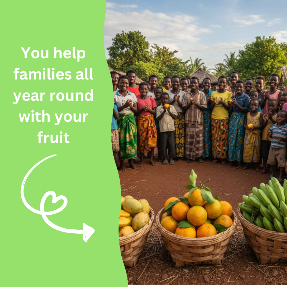 ❤️ Pomegranate Tree